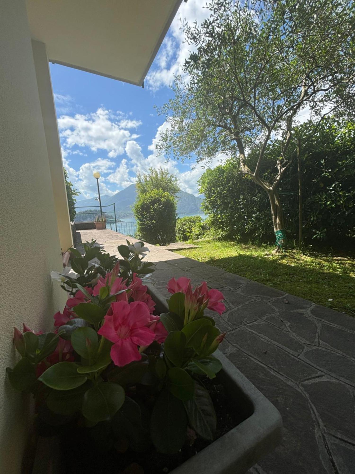 Ortensia - Perfect For Couple And Pets Ferienhaus *